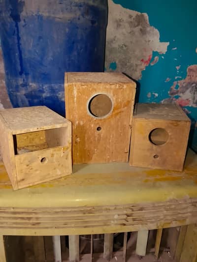 finchick wooden box for breeding