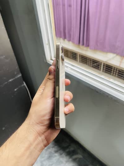 iPhone 13 Pro Max PTA Approved