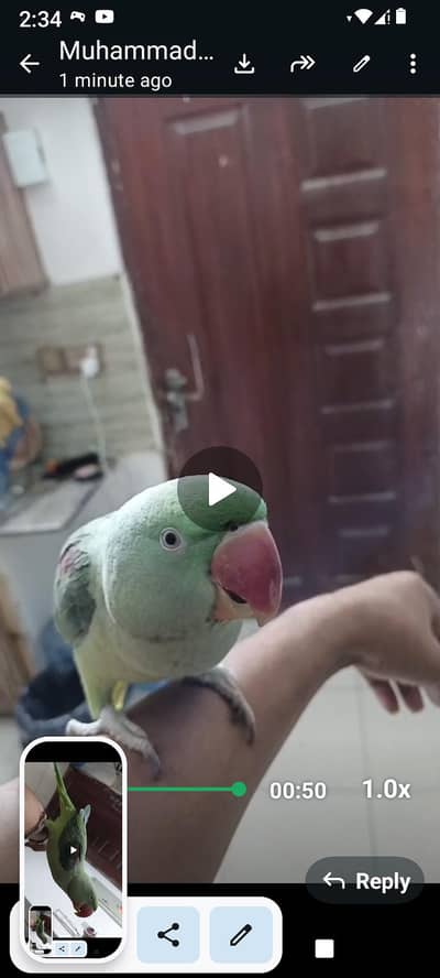 full talking hand tame 03701124986 is par msg kare