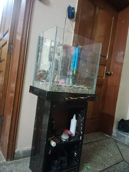 fish Aquarium — photo 2