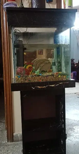 fish Aquarium — photo 4