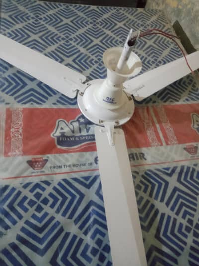 2 DFC local company fan