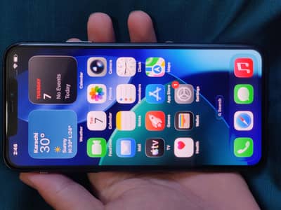 iPhone 11 Pro Max (256GB)