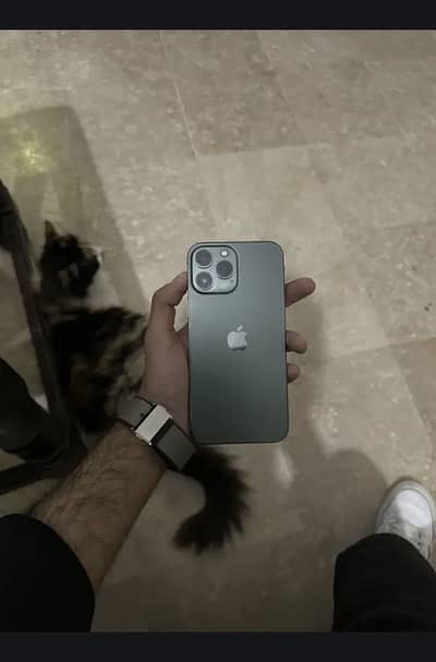 iPhone 13 pro max 128 gb jv  exchange posibal with iPhone 13 max pta