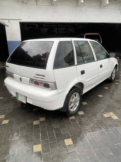 Suzuki cultus