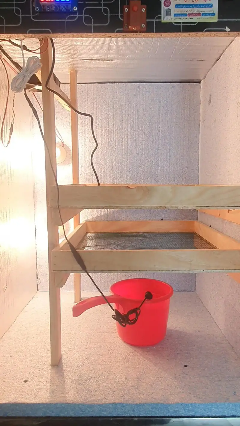 Semi Auto Incubator — photo 2