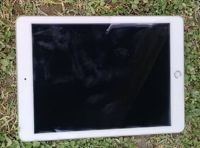 iped 6th generation Japan warranty