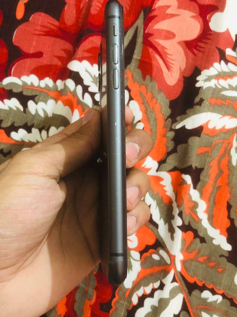 iphn11 2