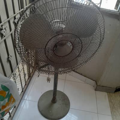 Royal stand fan