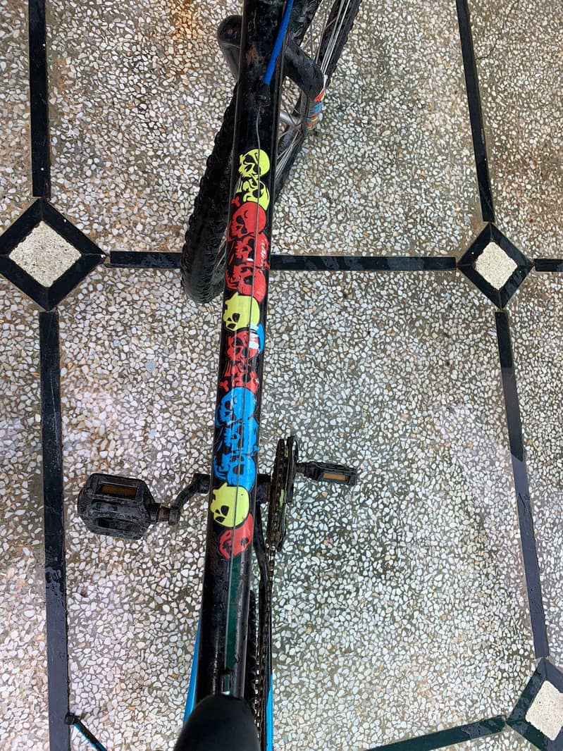 cycle for regular use 1