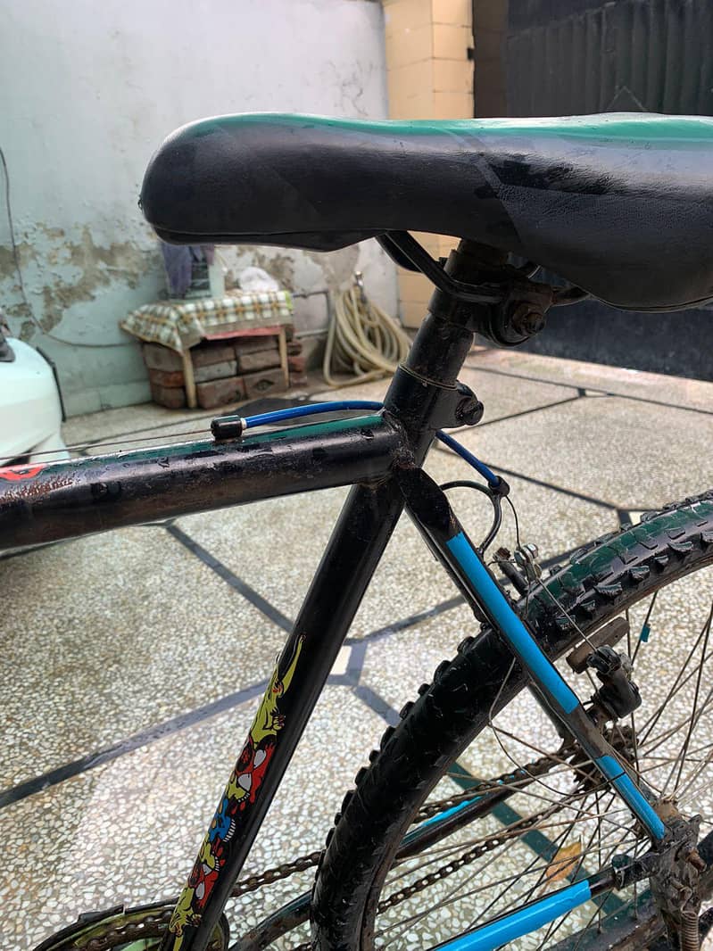 cycle for regular use 5