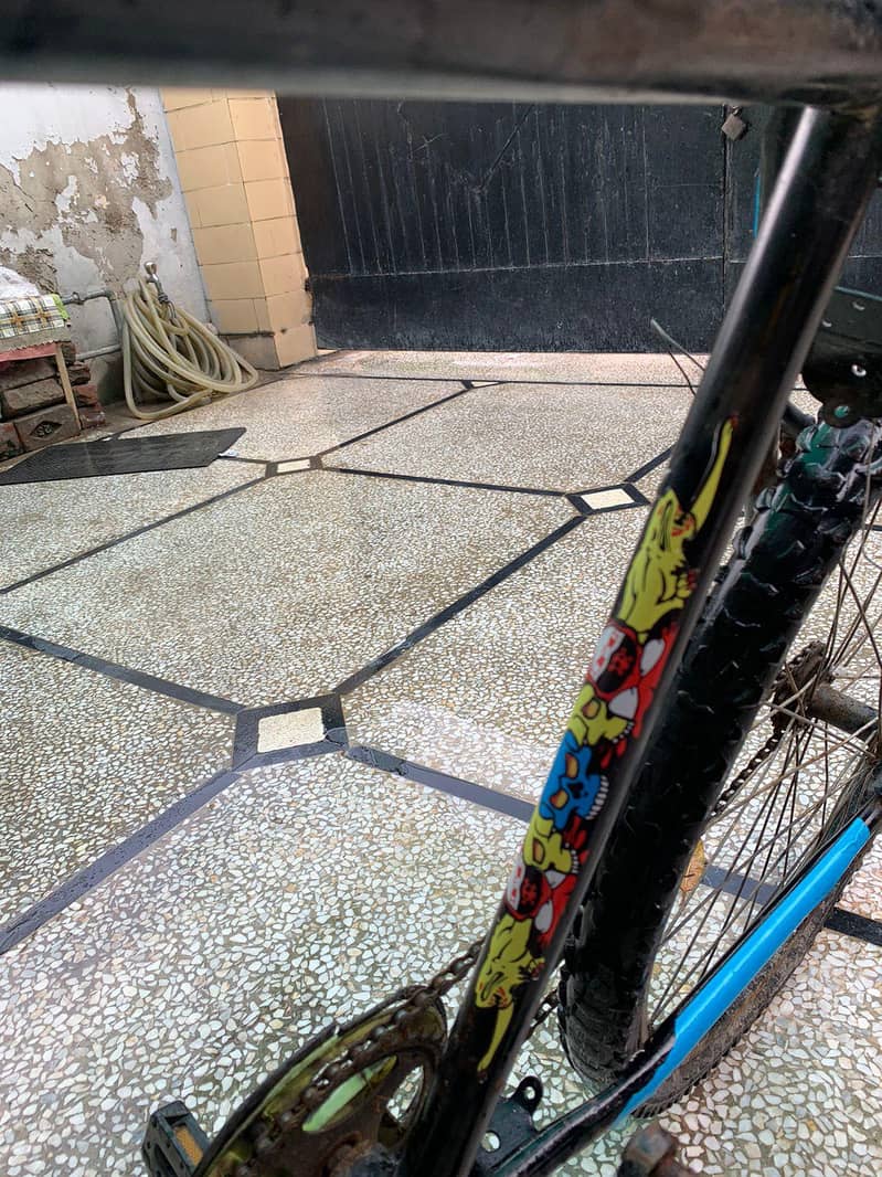 cycle for regular use 7