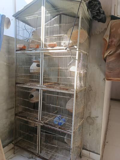 8 portion cages