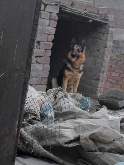 age 15 ya 20 ma k kareeb h