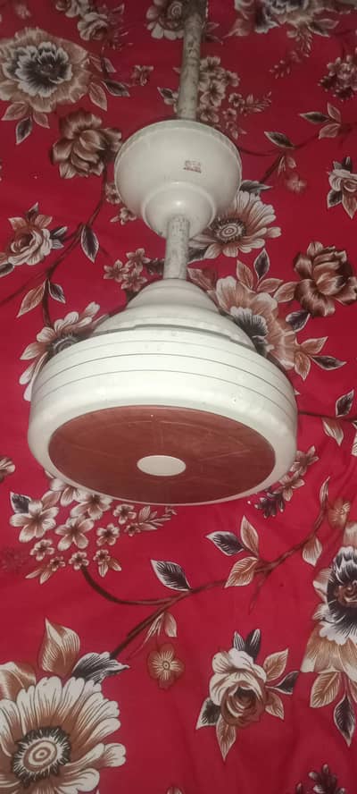 GFC ka fan all ok and remote