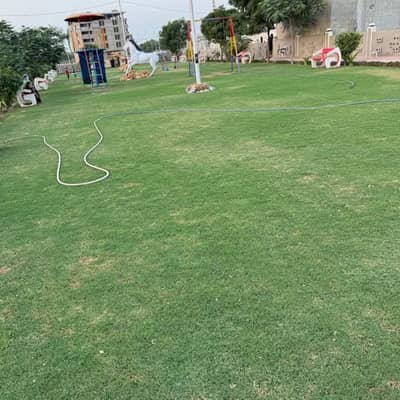 Plot for sale 250 sq yard Gulshan Iqbal Bock-19