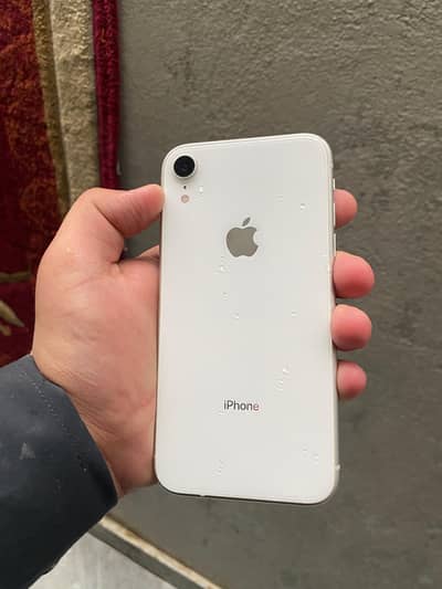 iphone xr    non pta. (factory unlock. ). waterpack all ok