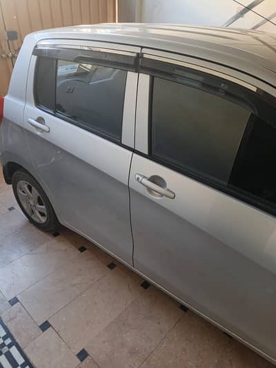 Lush condition cultus