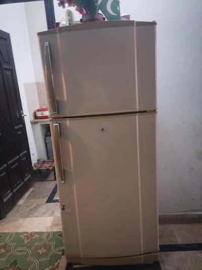 Genuine waves company