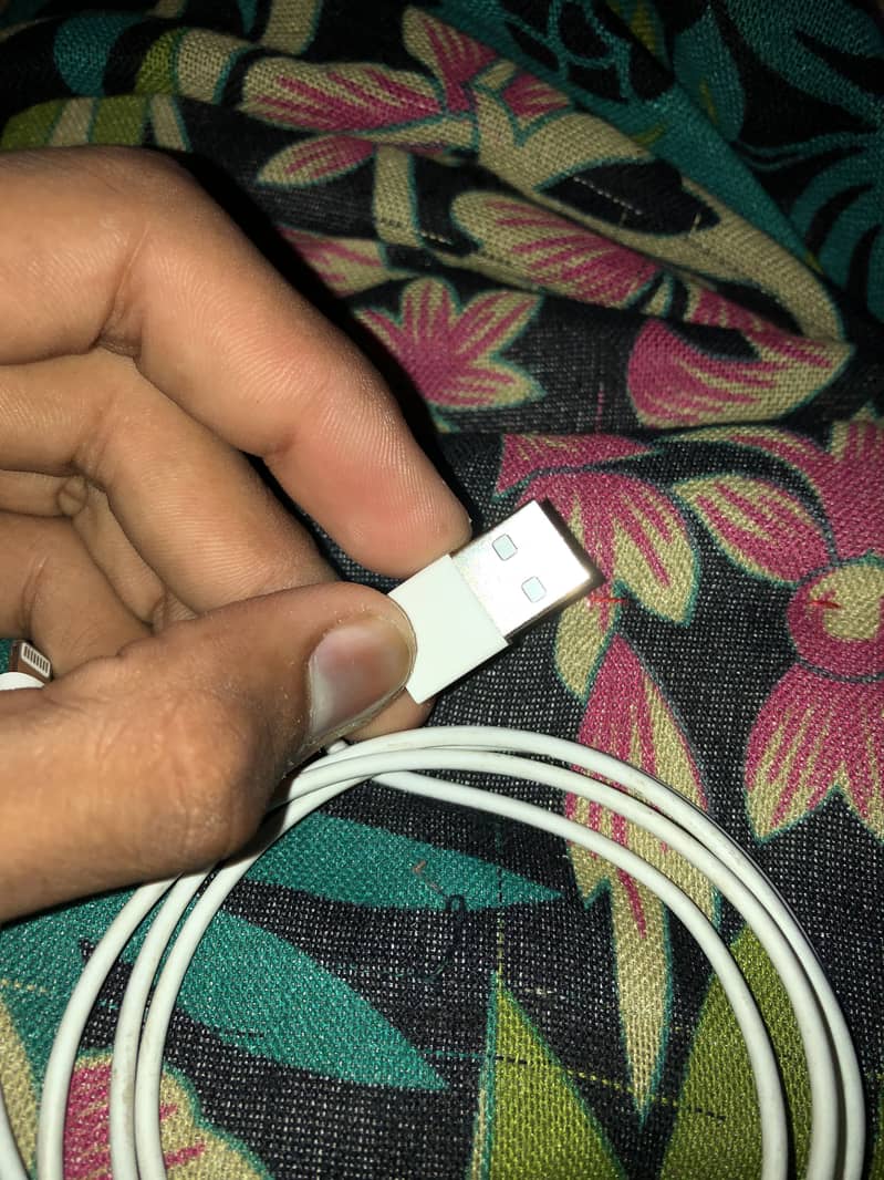 Iphone data cables 2
