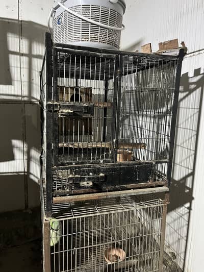 Trolly Cages for sell