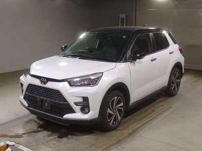 raiz tue tone colour