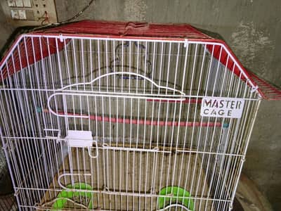 Master cage