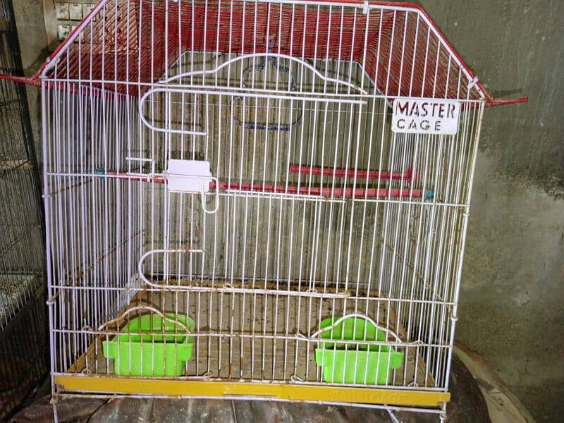 Master cage 1