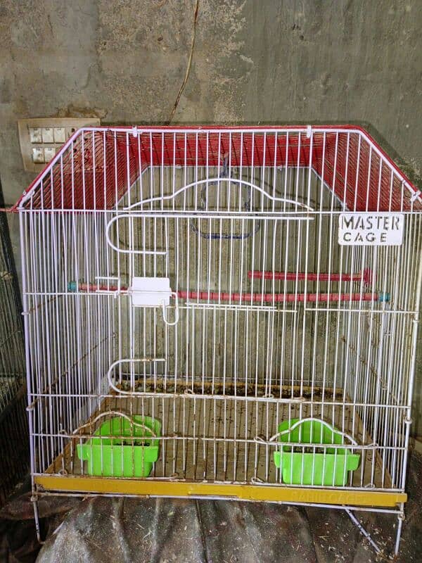 Master cage 2