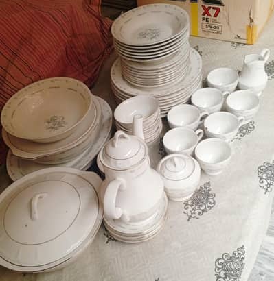 Elegant Dinner Set – Complete Family Set