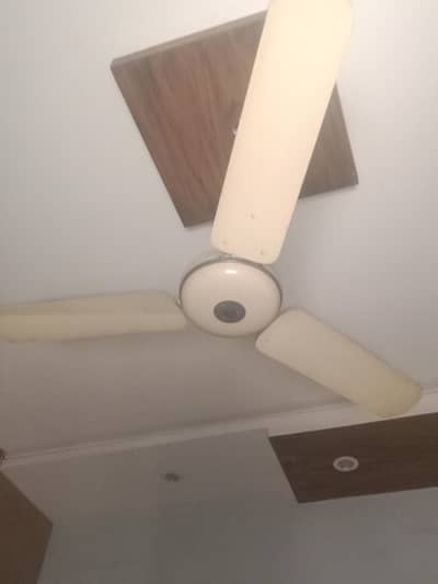 parwaz and pak fan for sale