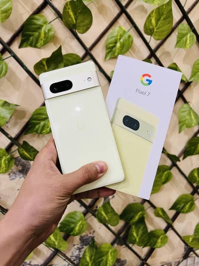 Google Pixel 7 Official PTA 128GB LemonGrass Original Box Charger