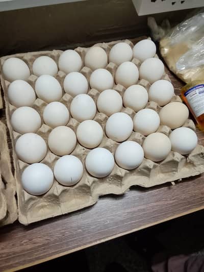 Desi organic eggs