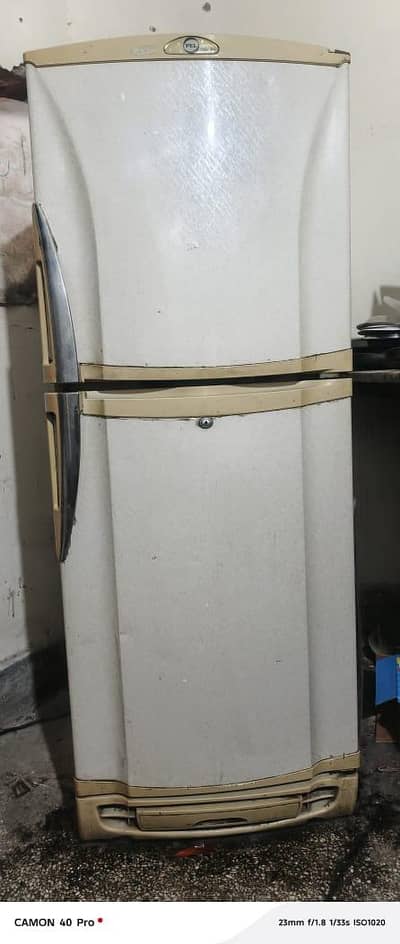 pel fridge urgent sale krni ha