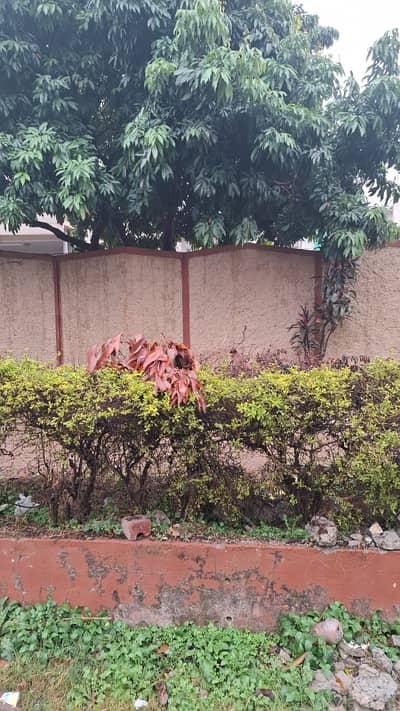 House for Sale in G-9/1 Islamabad!