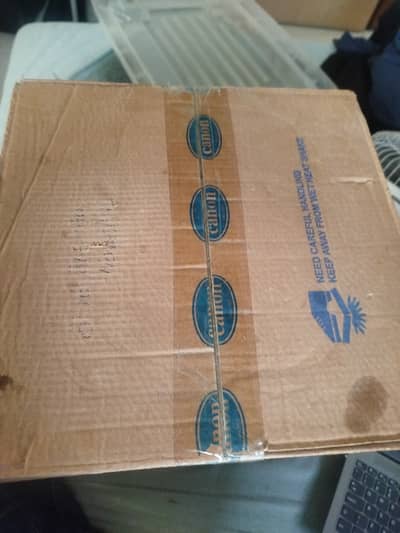 Canon Electric Instant geyser