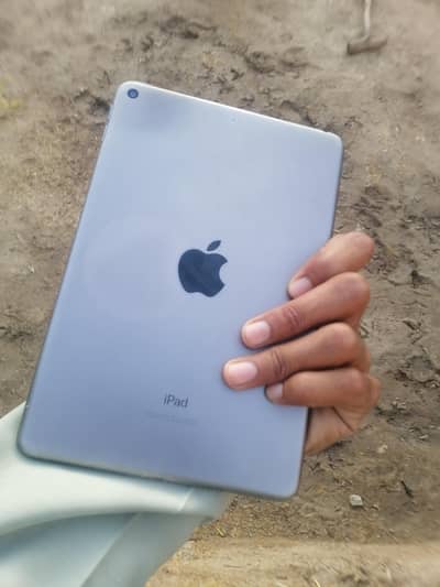 Ipad Mini 5  10/10 condition