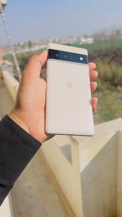 google pixel 6 pro c …. p approved