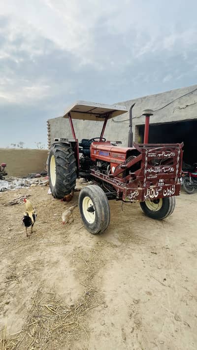 Contact num: 01347062690