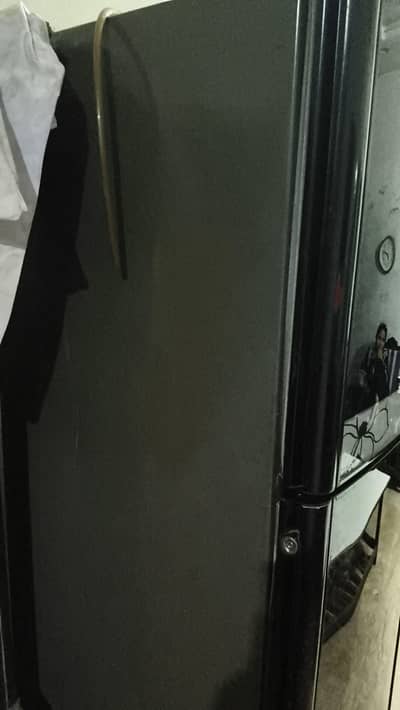 Orient Large Size Refrigerator