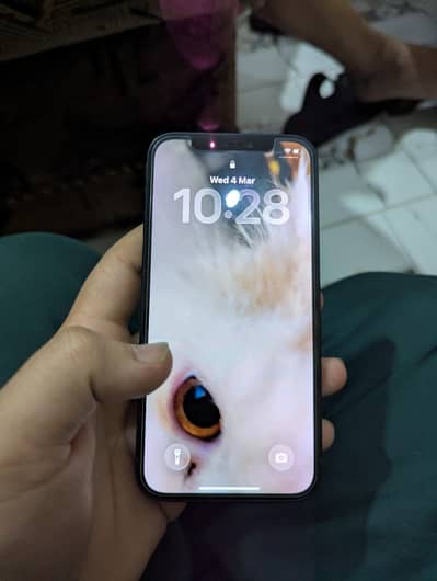 I phone 12 64 JV non pta