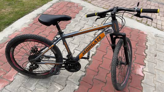 Medium size Morgan Bicycle