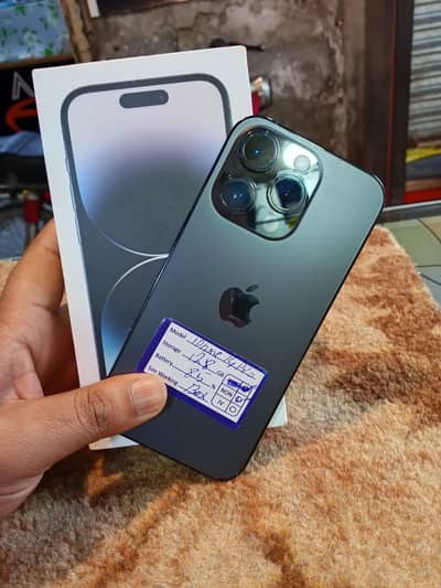 Whatsapp 923363030420 serious people contact me