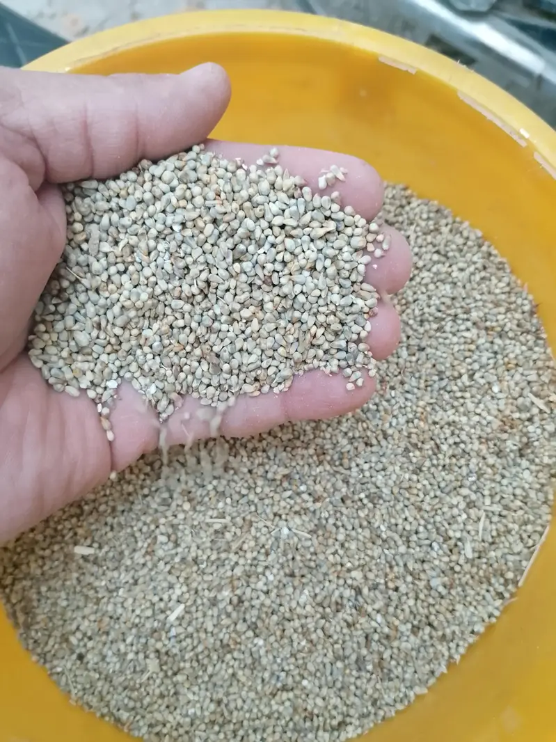 desi bajra 50kg ka tarora per tarora price — photo 3