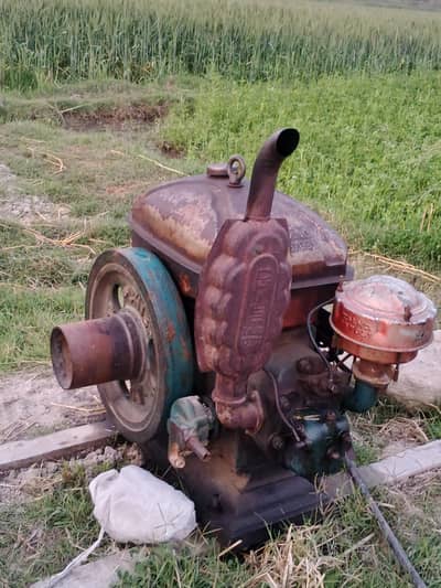 Peter Diesel engine 18hp