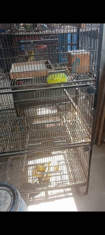 cage for sale