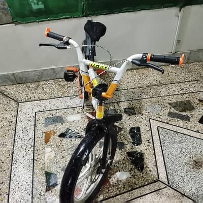 2024 MODEL DOUBLE DISC BRAKE STANT CYCLE ALL OK