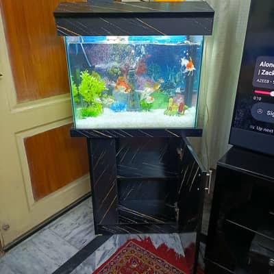 Brand New Aquarium with 6 Imported Fish & Food