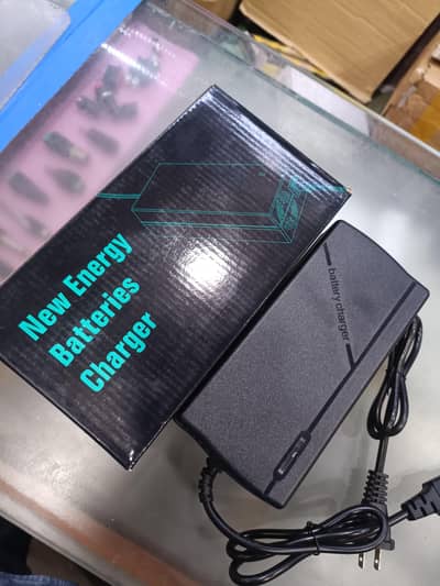 Electric Bike Charger EV