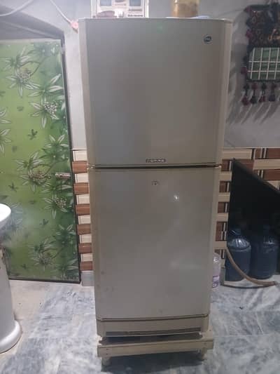 medium size pel fridge